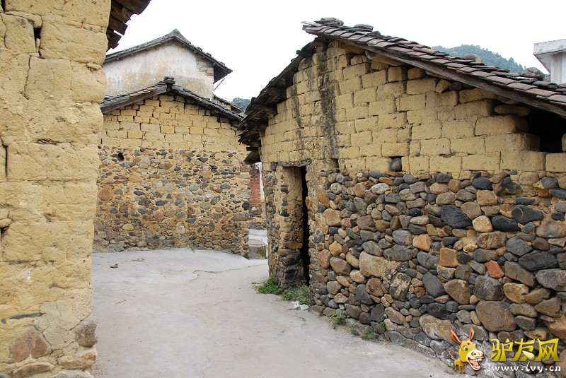 2551570663882848163 - ����.jpg