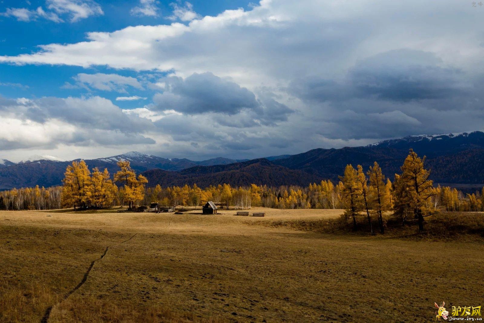 7������ľ�ķ�� (1).jpg